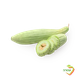 מלפפון פקוס