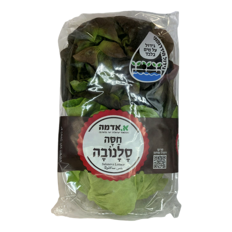 חסה סלנובה הידרופוני מארז