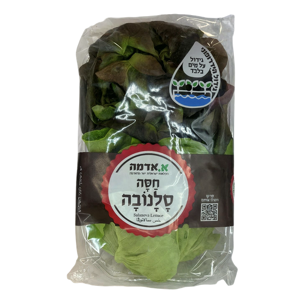 חסה סלנובה הידרופוני מארז