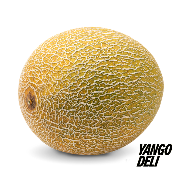 מלון