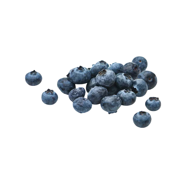 Bluberries packed