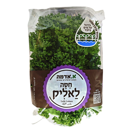 חסה לאליק הידרופוני מארז