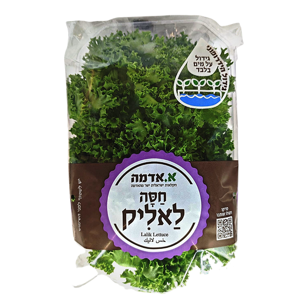 Lalique Lettuce hydroponic packed