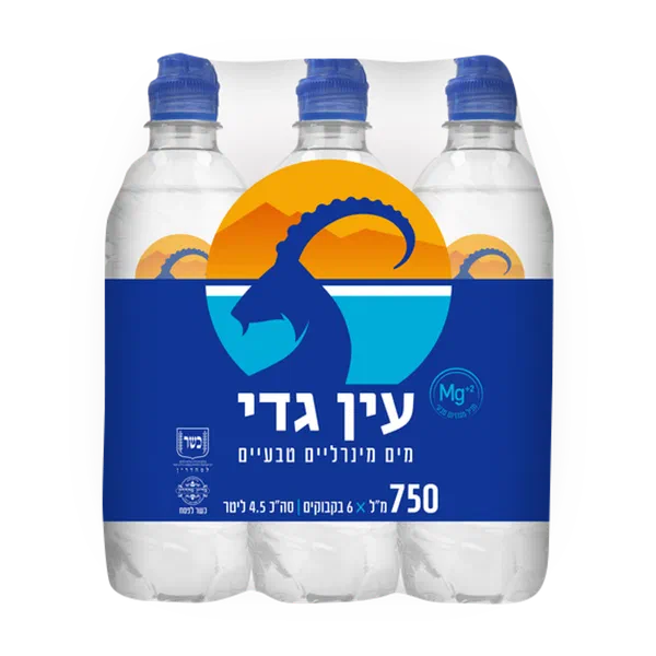 Ein Gedi Mineral Water pack