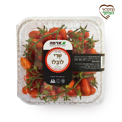 מארז עגבניות שרי לובלו