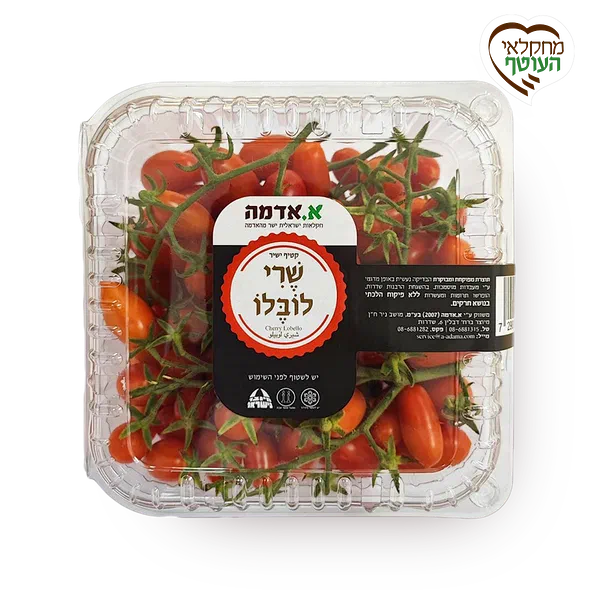 Lobello premium cherry tomatoes