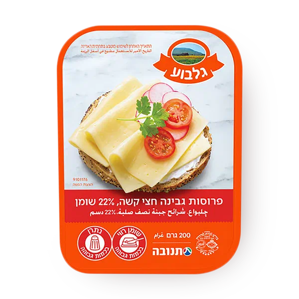 Gilboa Yellow cheese 22%