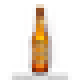 Alexander lager beer