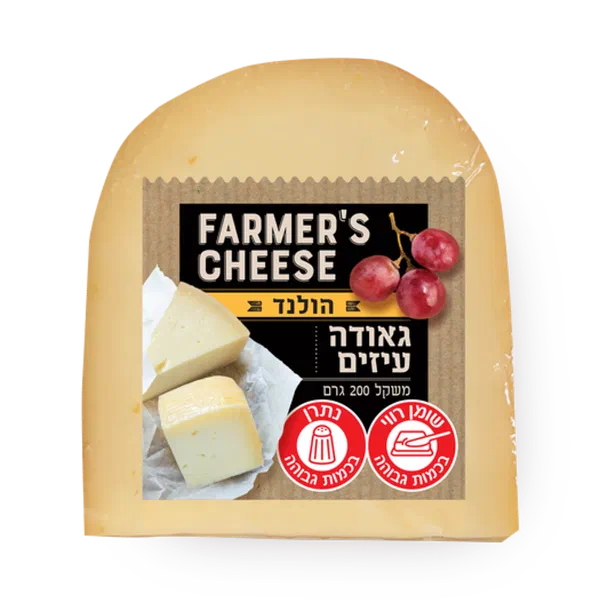 Gouda cheese Farmer's cheese