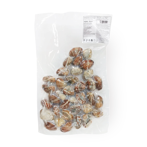 Клеммы вонголе «7 морей» в раковине 31/40