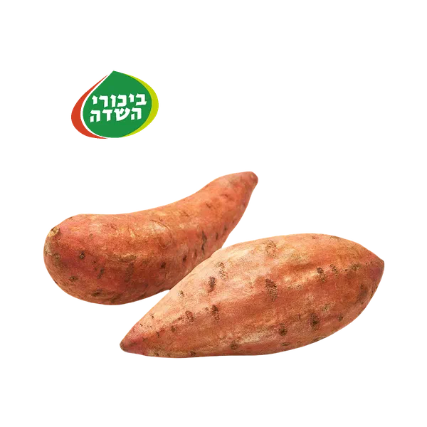מארז בטטות