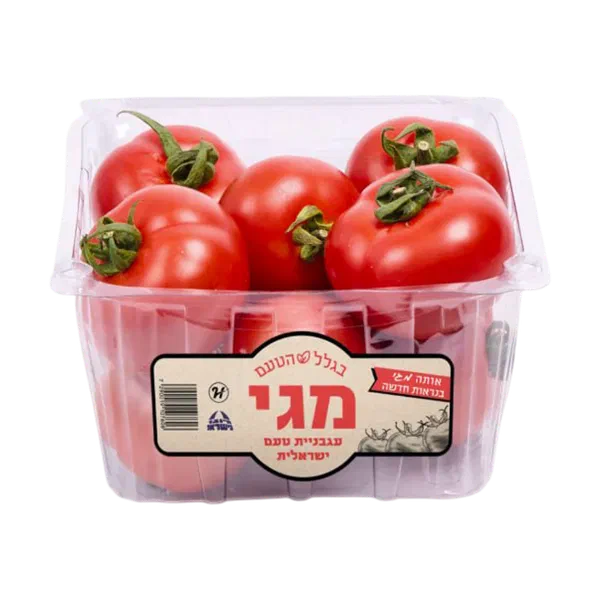 Maggi tomato pack