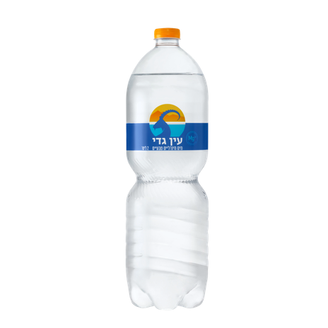 מים מינרליים עין גדי