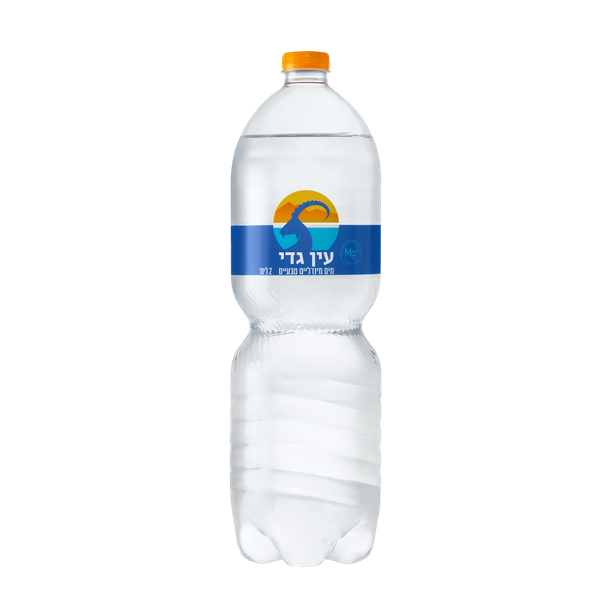 Ein Gedi Mineral water