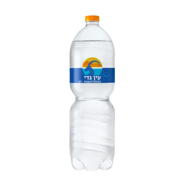 מים מינרליים עין גדי