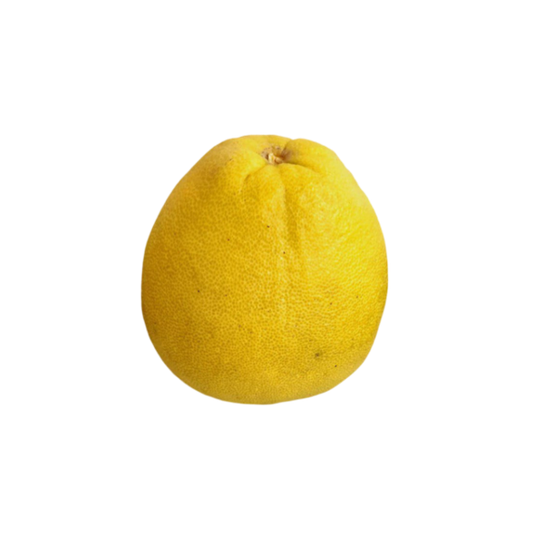 White pomelo