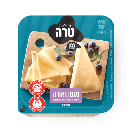 נעם גבינת גאודה